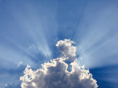 The sun is shining