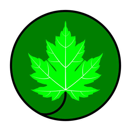 Green maple leaf vector icon in black circle and dark green background. Maple leaf clip art.のイラスト素材
