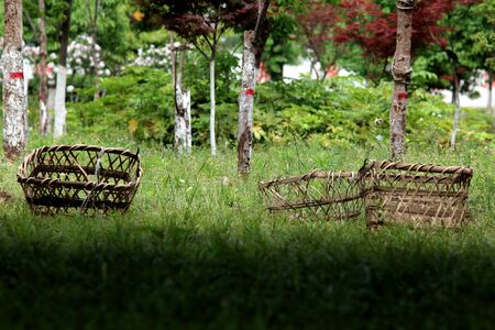 Basketの写真素材