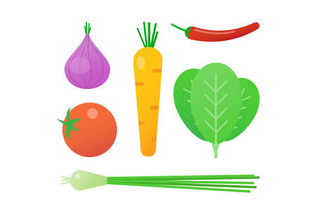 Set of vegetables on white background. Healthy food design. vector illustrationのイラスト素材