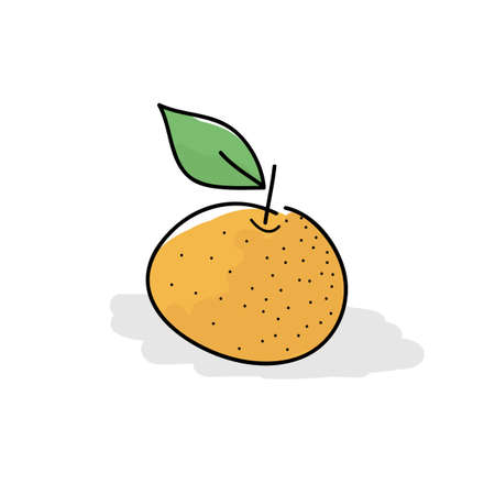 orange fruit on white isolate background. vector illustrationのイラスト素材