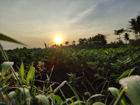 sunset in Pagak valley sunriseの写真素材