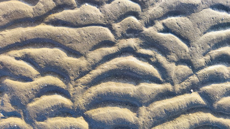 The texture of the beach soil forms a natural pattern due to sea water and animals.の写真素材