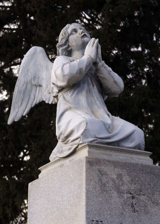 Holly angelの写真素材