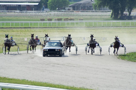 Trotter horse raceの写真素材