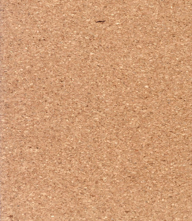 Empty Cork board backgroundの写真素材