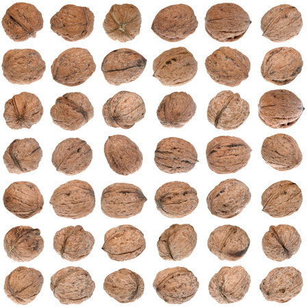 Group of walnuts isolated on white background