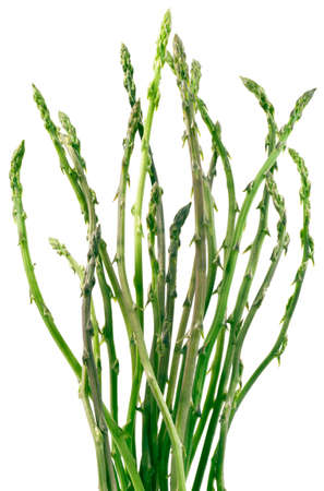 Asparagus Bouquet Bunch Isolated on White Backgroundの写真素材