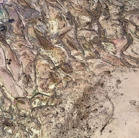 Dry Martian Riverbed Basin Textureの写真素材