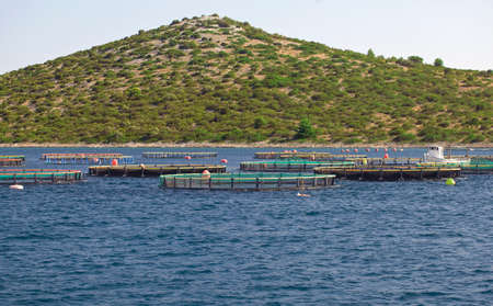 Fish Farming in Net Cagesの写真素材