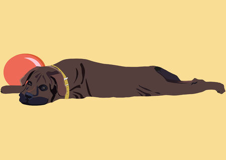 An illustration of tired mastiff puppy having a rest near by the ballのイラスト素材