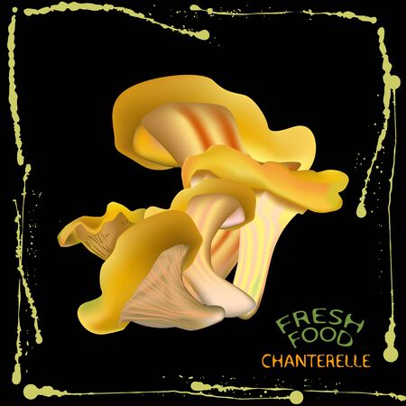 an illustration of a label of a bunch of chanterelle mushrooms, on black background with yellow ink splashes on the edges and fresh food and chanterelle signs in the bottom left cornerのイラスト素材