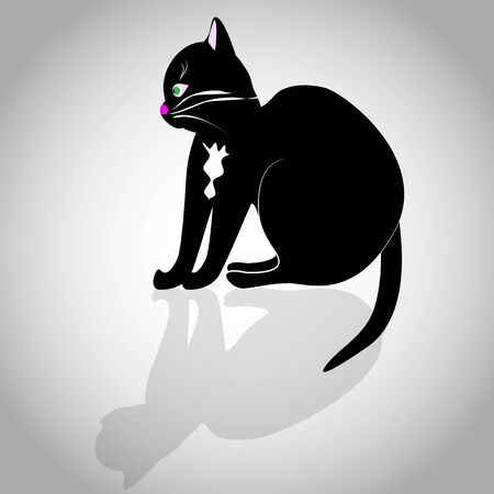 a vector illustration of a black cat with white chin, whiskers, ears and some outlines.のイラスト素材