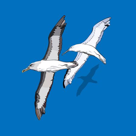 vector illustration of a flock of birdsのイラスト素材