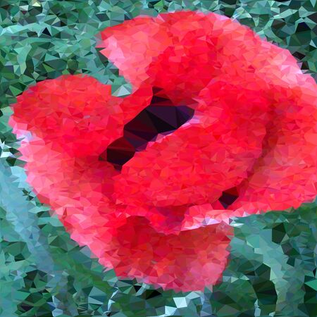 vector illustration of triangulated poppy flower, grouped fror easier editing , backgroundのイラスト素材