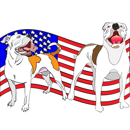 hand-drawn, outlined, vector illustration of a couple of american bulldogs in front of a waving american flagのイラスト素材
