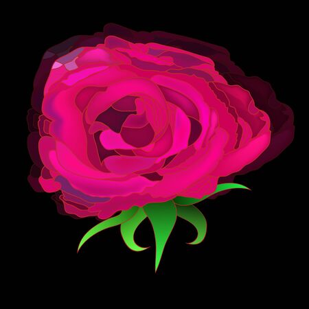 vector illustration of a rose head and a background reflectionのイラスト素材