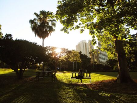 Vintage photo of relaxing young woman in natureの写真素材