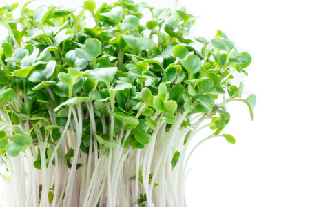 Broccoli sprouts