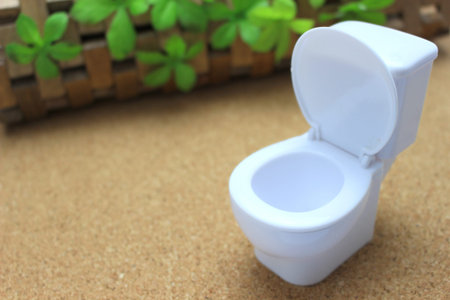 Western-style toilets
