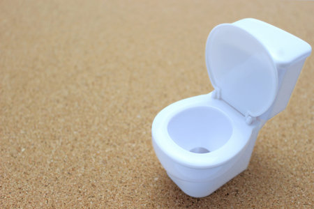 Western-style toilets