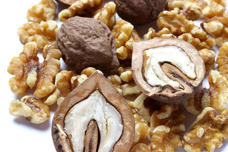 walnut