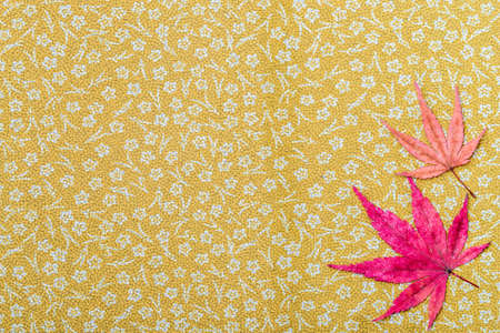 Background materialの写真素材