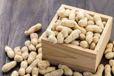 Peanutの写真素材