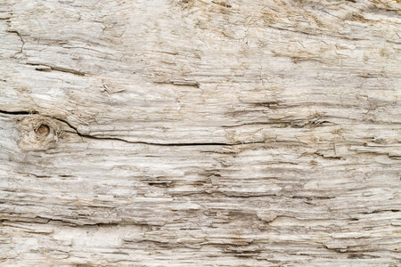 Wood background