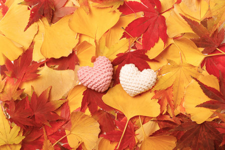 autumn leaves and heart