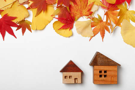 Autumn Real Estateの写真素材