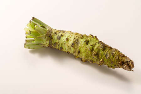 Wasabi on a white backgroundの写真素材