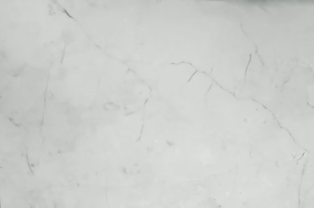 Gray and white marble stone natural pattern texture background and use for interiors tile wallpaper luxury designの写真素材