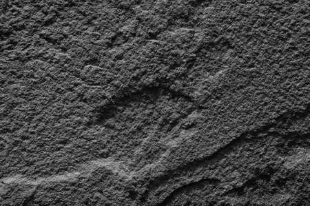 Empty space wall texture background for website, magazine , graphic design and presentationsの写真素材