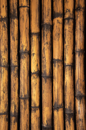 Bamboo wall background texture close up.の写真素材