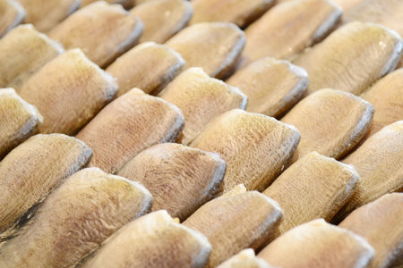 Dried fish in the market, close-up of the fishの写真素材