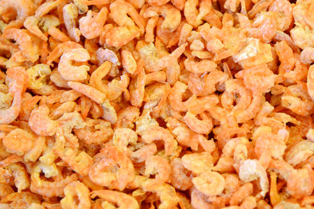 dried shrimp background, close-up of dried shrimpの写真素材