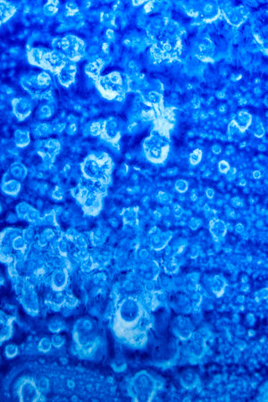 Abstract hand painted blue watercolor splash on white paper background, Creative Design Templatesの写真素材