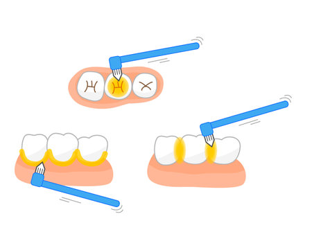 Tuft brush toothpaste leftover foodのイラスト素材