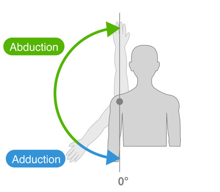Shoulder joint motion and direction of motionのイラスト素材