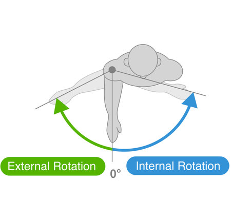Shoulder joint motion and direction of motionのイラスト素材
