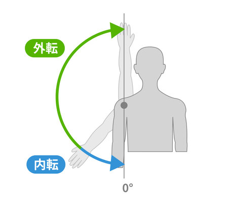 Shoulder joint movement and direction of movementのイラスト素材