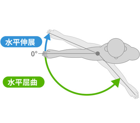 Shoulder joint movement and direction of movementのイラスト素材