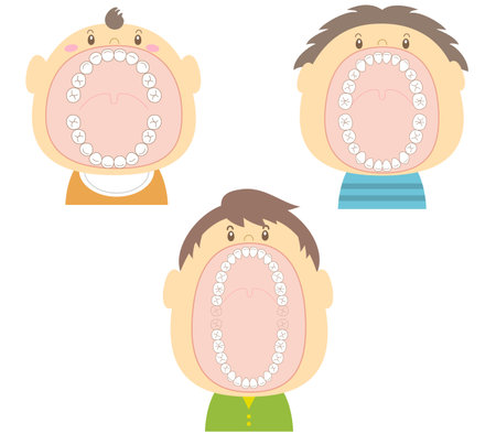 Illustration of teeth at different ages: baby with wide open mouth, child, and adultのイラスト素材