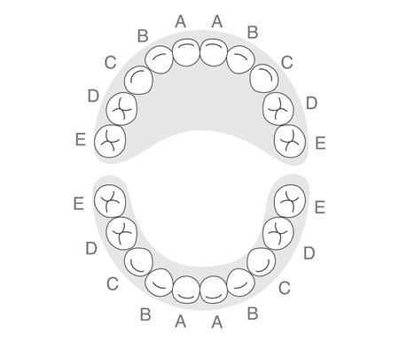 Black and white baby teethのイラスト素材