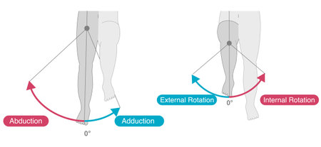 Range of motion of the hip jointのイラスト素材
