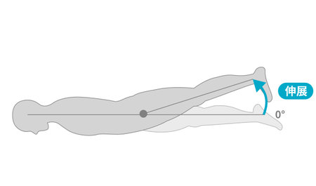 Range of motion of the hip jointのイラスト素材