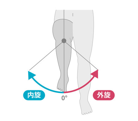 Range of motion of the hip jointのイラスト素材