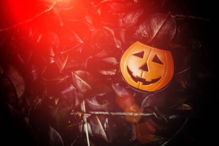 Halloween pumpkin with black eyes dressed on black background. Horror theme. Copy space.の写真素材
