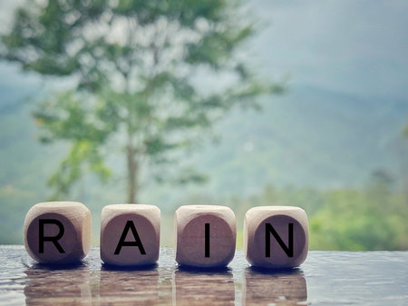 Wooden cubes with word RAN on table with nature background.